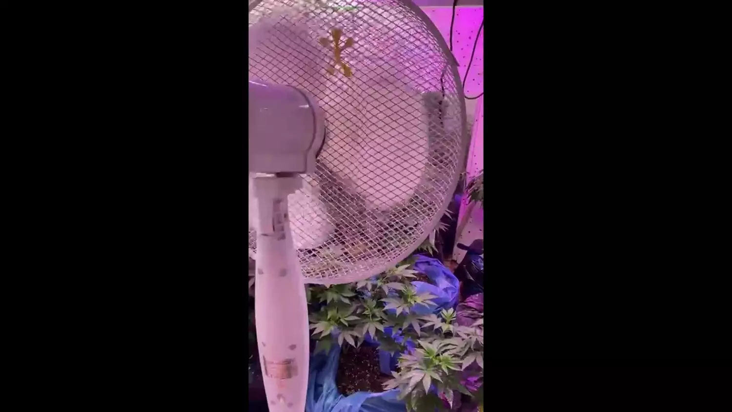 32-234872-e157cad.mp4