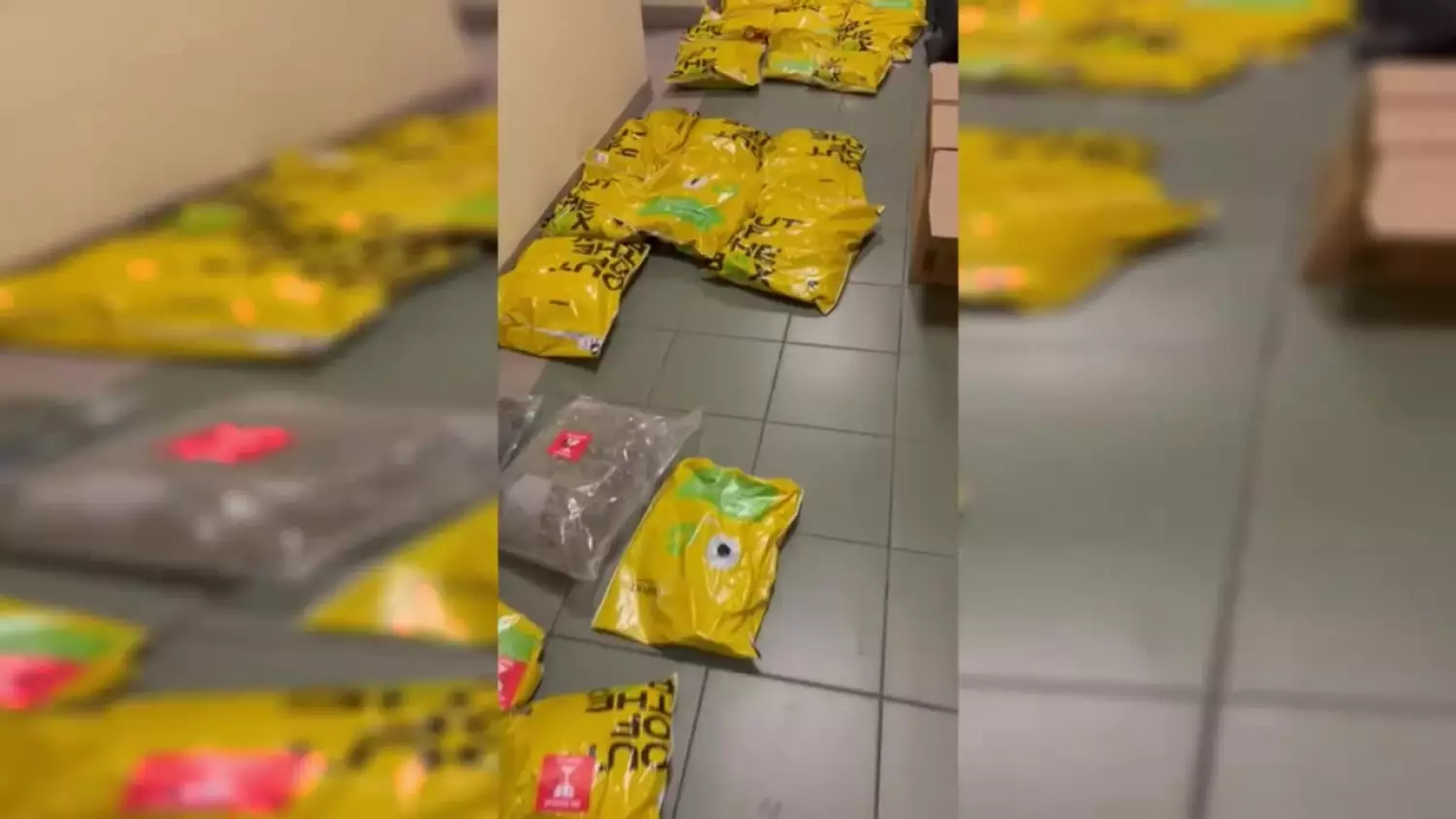 84-193579-cf93e00.mp4