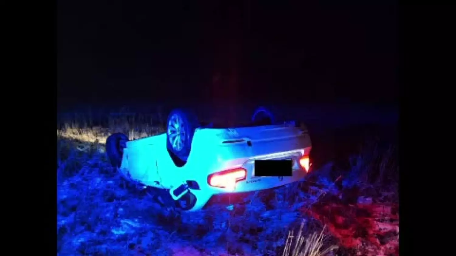 251-186183-572d7f1.mp4