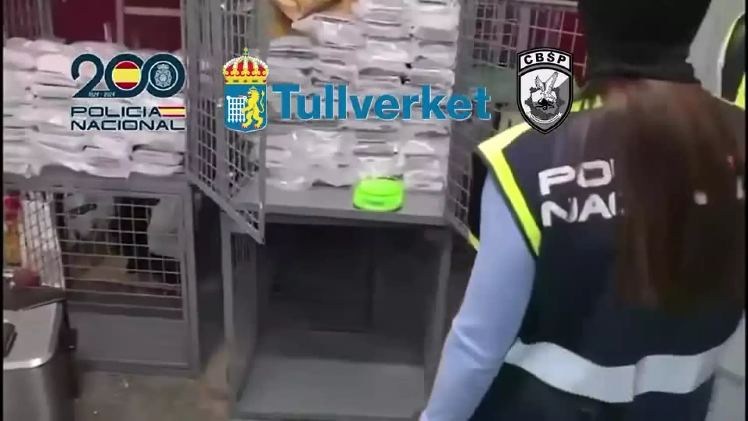 fdownloadernet-1941111793957528-540p.mp4